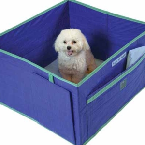 Dog inside indoor dog potty Pack 'N Piddle