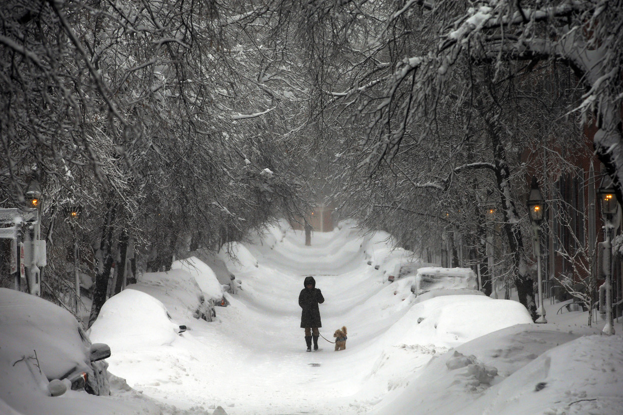 Don't make your dog suffer in the snow. Get your Pack 'N Piddle today!