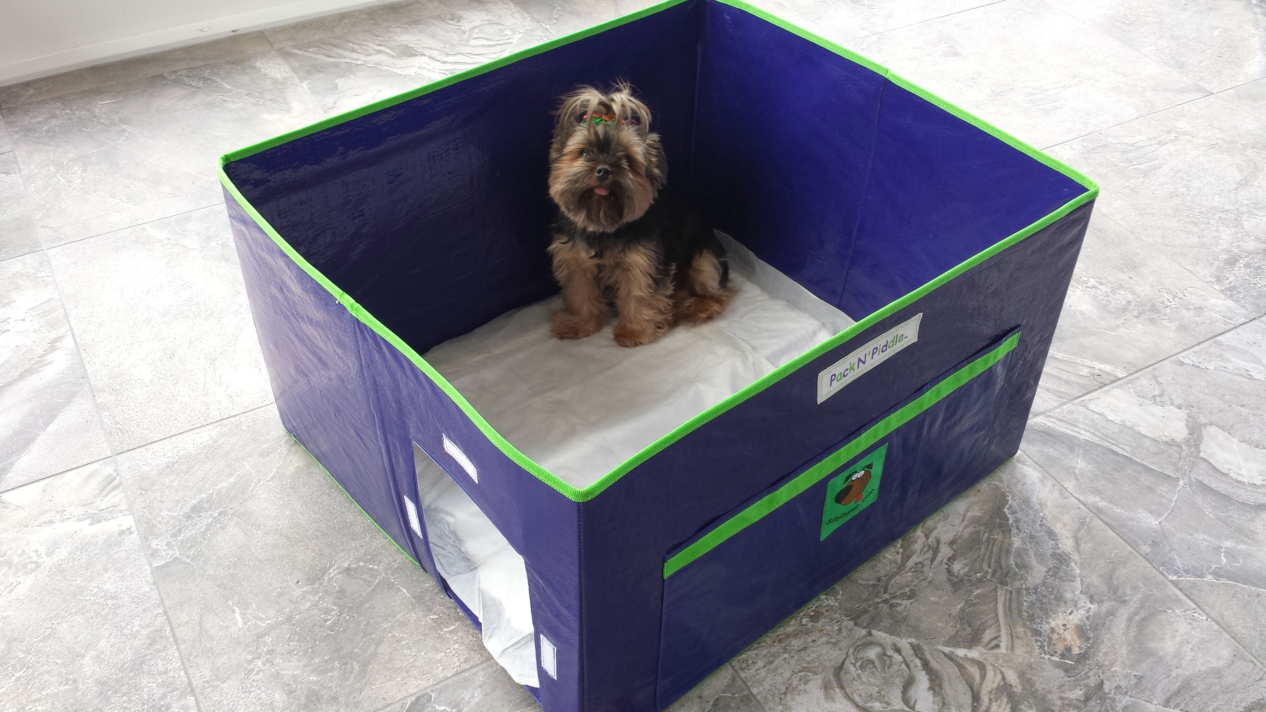 Litter Boxes Aren't Just For Cats Anymore! Check out the Pack ‘N Piddle.